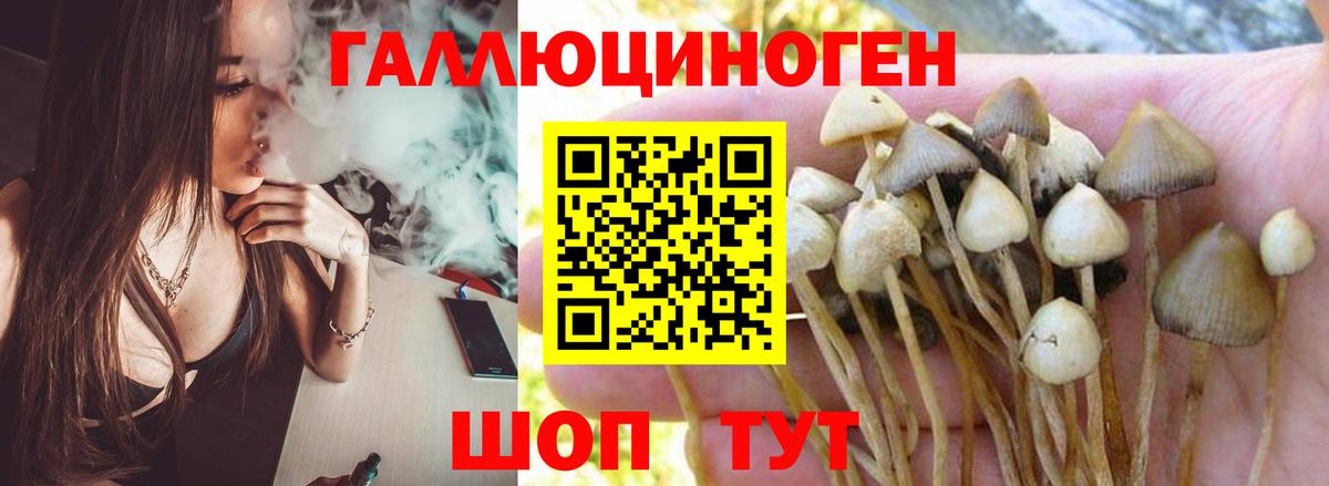 Псилоцибиновые грибы ЛСД Нефтеюганск